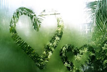 小冰场点燃大梦想!让孩子们都能体验冰雪运动的快乐央视体育.