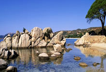 宋义勇上演帽子戏法 助狮城水手首闯亚冠二级联赛16强.